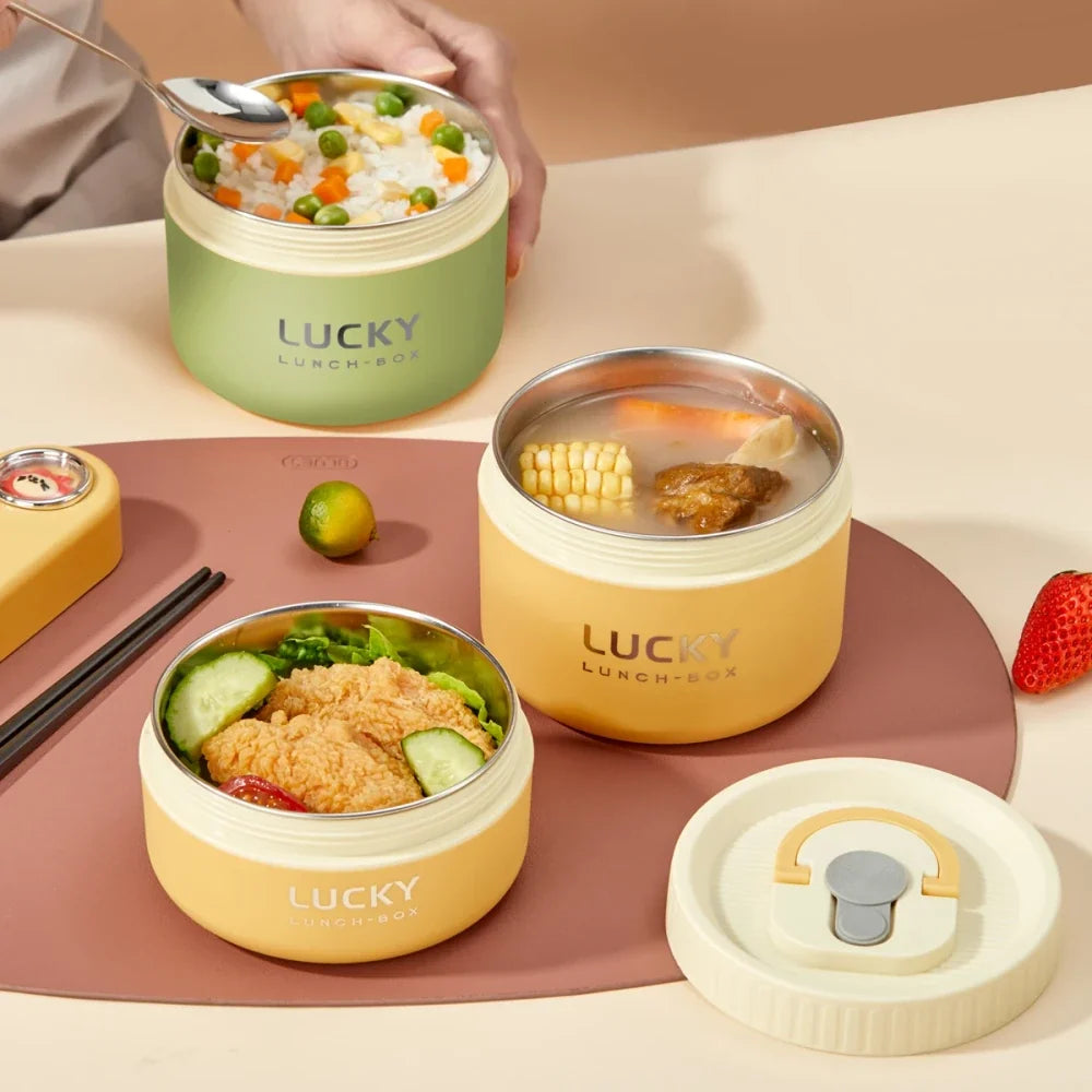 Insulated Stainless Steel Thermal Bento Lunch Box